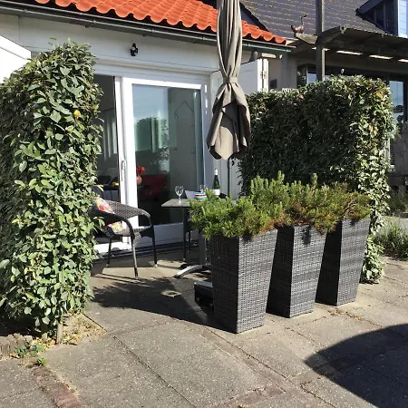 Sunrise 赞德沃特